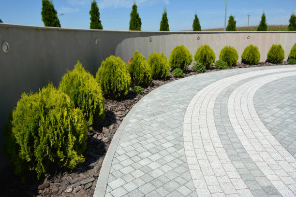 Best Driveway Pavers Near Me  in Cicero, IL